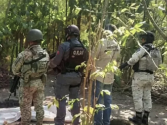 Narcomomias de Guanajuato